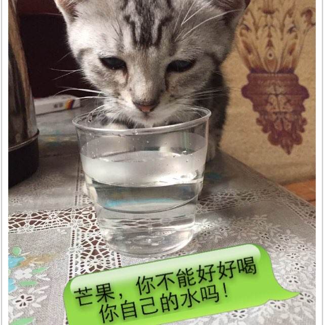 西安个人不动产证查询官网
